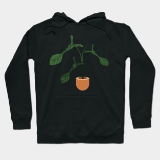 Philodendron Joepii rare plant Hoodie